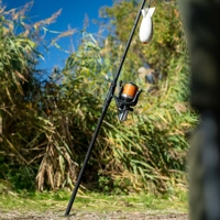 Daiwa Black Widow + Spod/Marker Rods